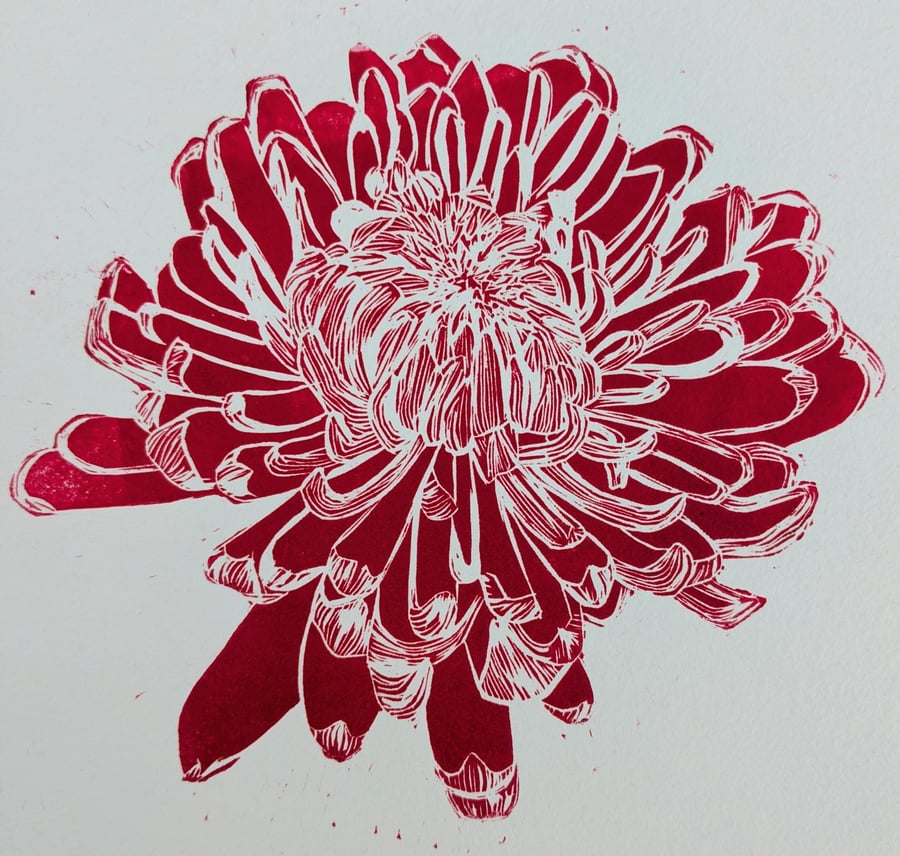 Chrysanthemum
