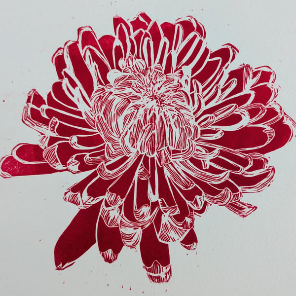 Chrysanthemum
