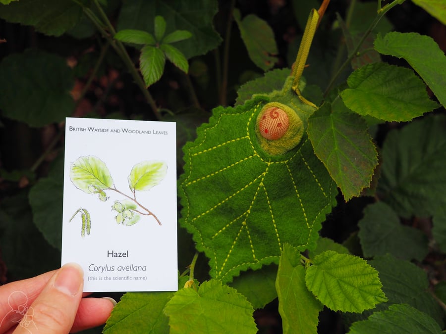 A tiny baby doll in a Hazel leaf