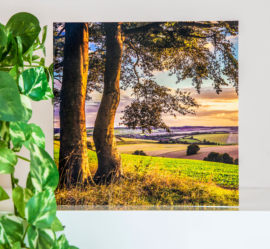 Sunset Evening Landscape English Countryside Blank Greetings Card Wiltshire UK