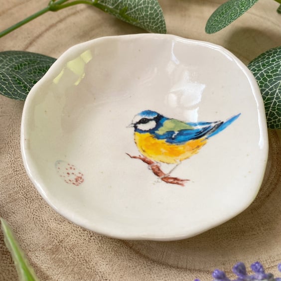 Blue Tit Handmade Ceramic Dish, Garden Bird Dish