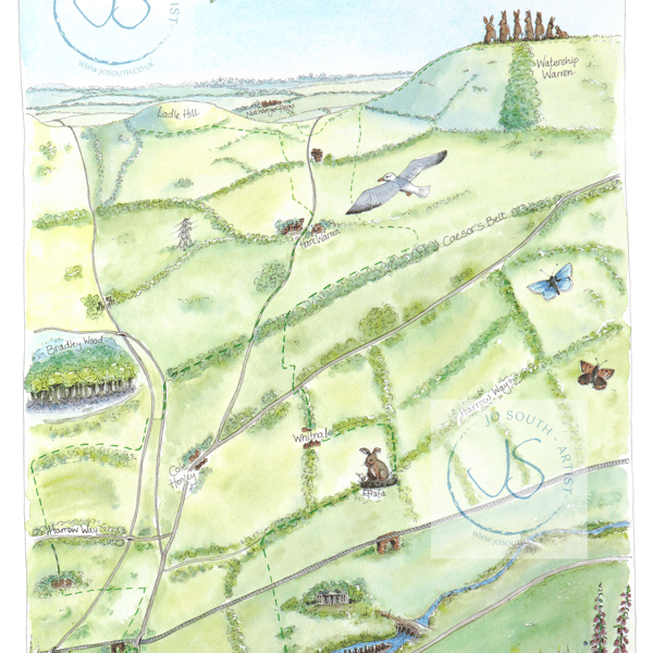 Watership Down Trail, Whitchurch Hampshire - Fine Art Print 32cm x 22cm