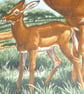 On Safari Gazelles under trees cushion - Image 3