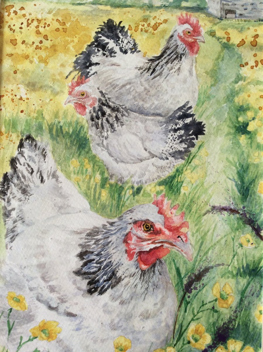 Original watercolour painting of chickens in meadow