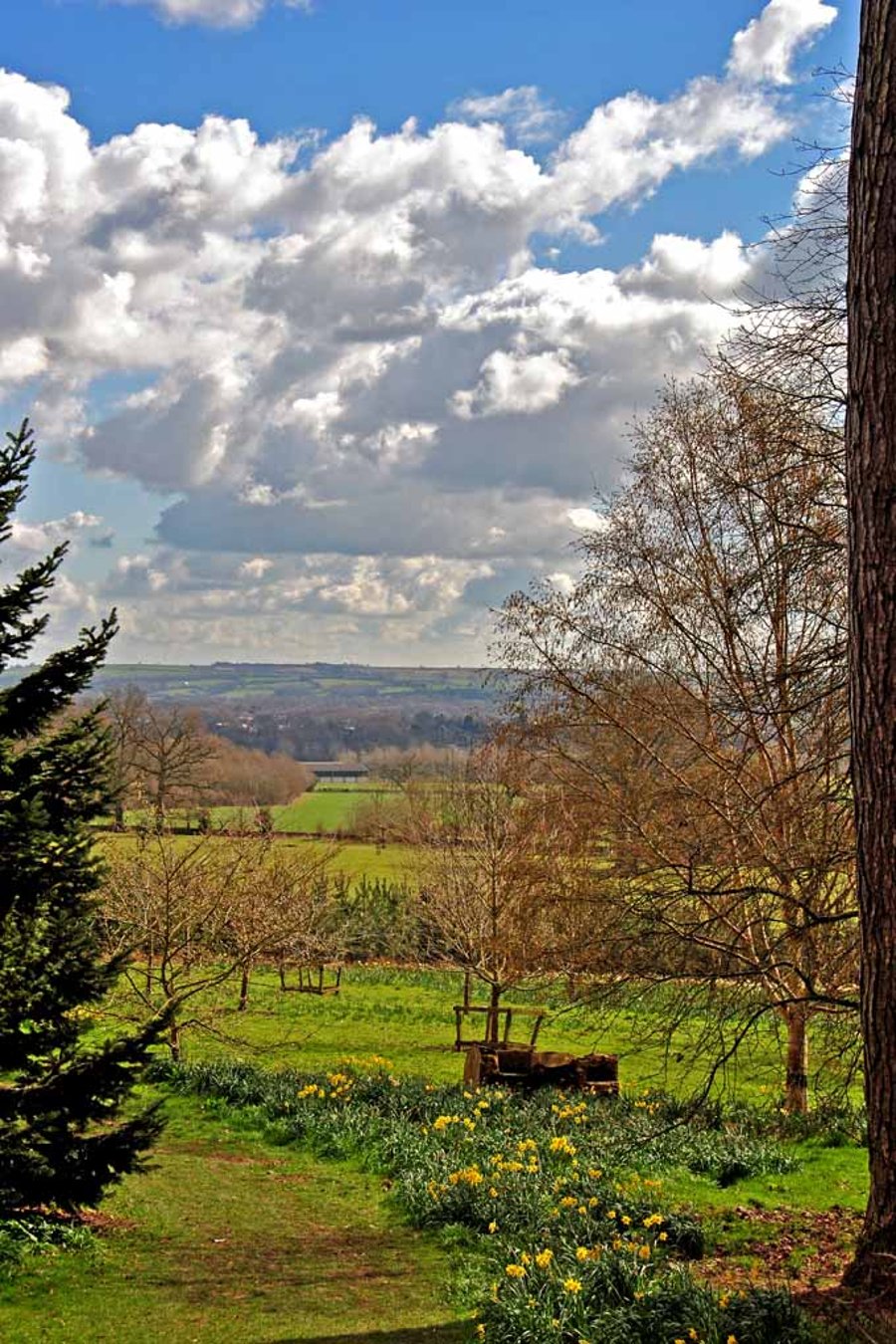 Batsford Arboretum Cotswolds Moreton In Marsh Photograph Print