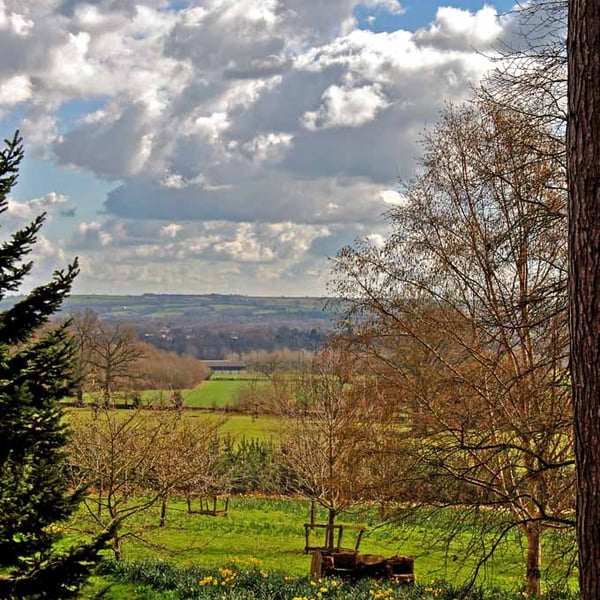 Batsford Arboretum Cotswolds Moreton In Marsh Photograph Print