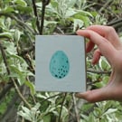 Song thrush egg - original acrylic painting