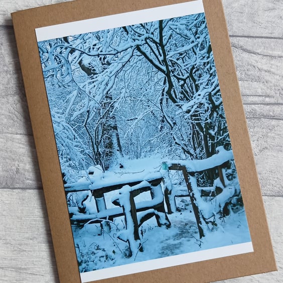 Winter Wood Photo Greetings Card, Christmas Card, Yule Card
