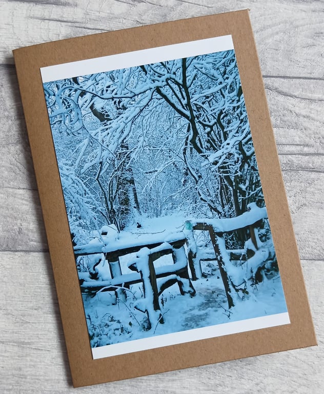 Winter Wood Photo Greetings Card, Christmas Card, Yule Card