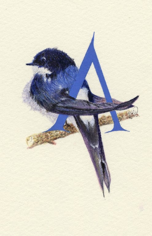 Illustrated letter 'A'