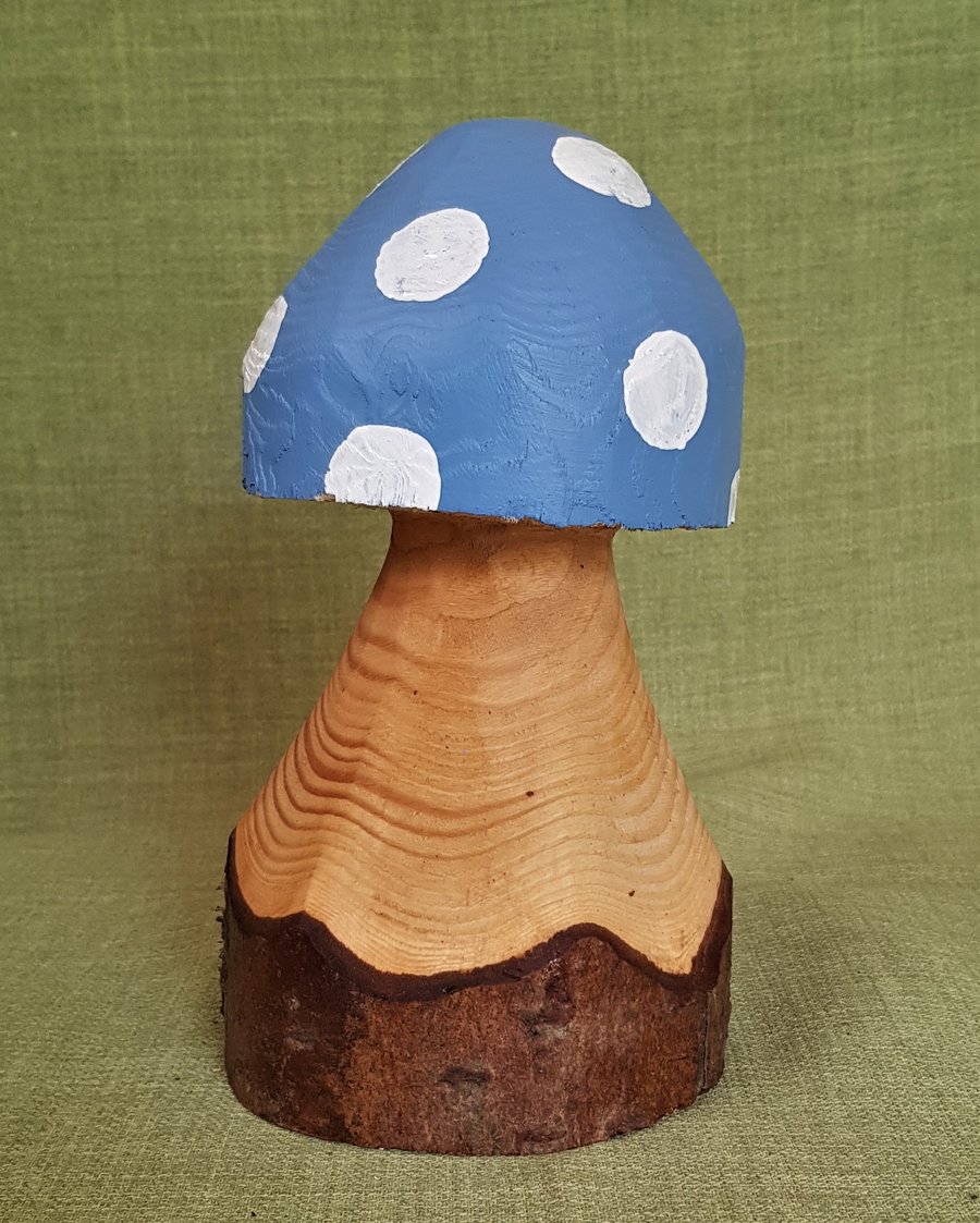 Blue Spotty Toadstool