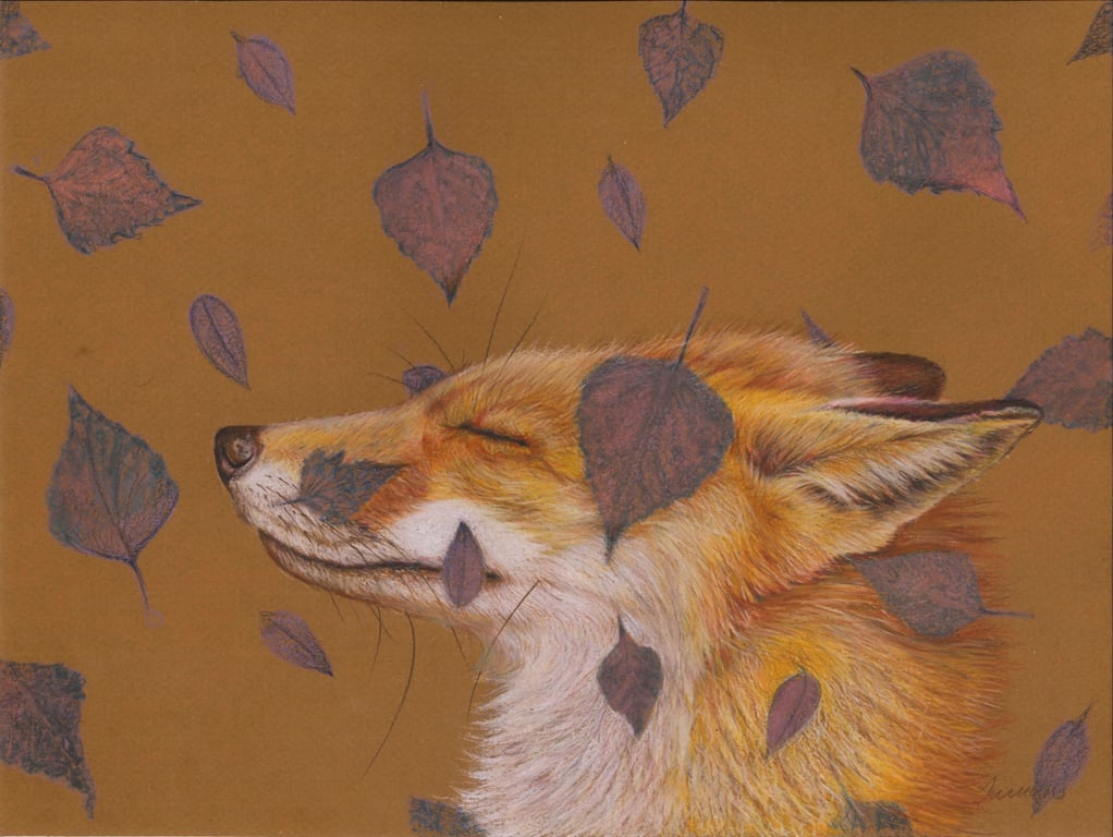 Harmony Fox Framed Print 