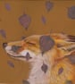 Harmony Fox Framed Print 
