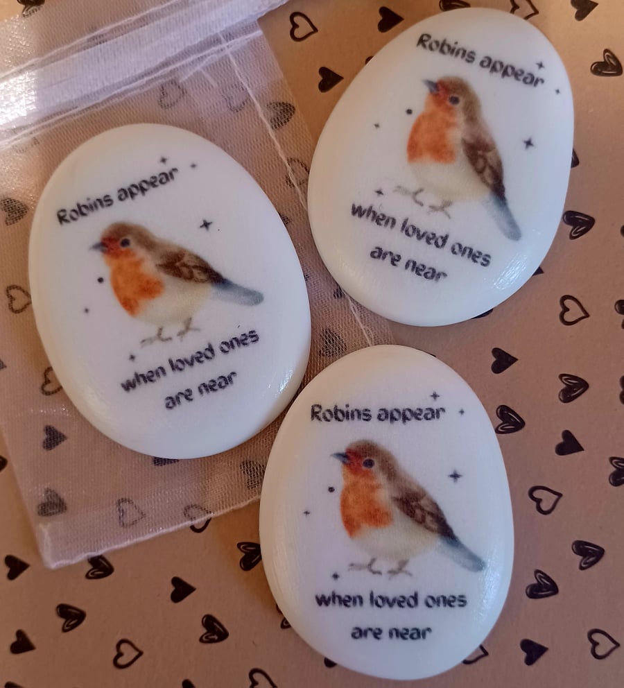 Robin Memorial Keepsake Pocket Hug