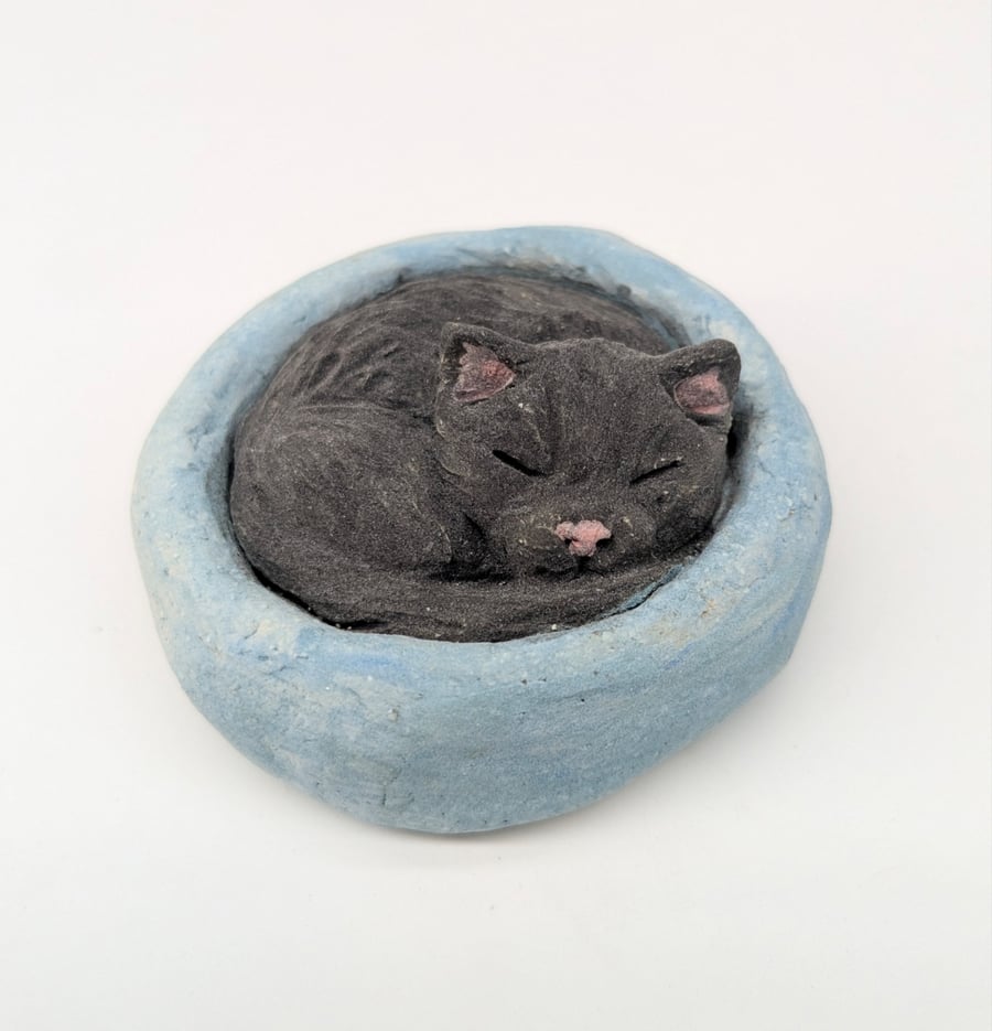 Yorkshire Pudding Cat - Black in blue bed