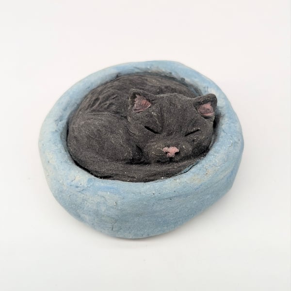 Yorkshire Pudding Cat - Black in blue bed