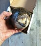 Ceramic Hedgehog sculpture - Image 10
