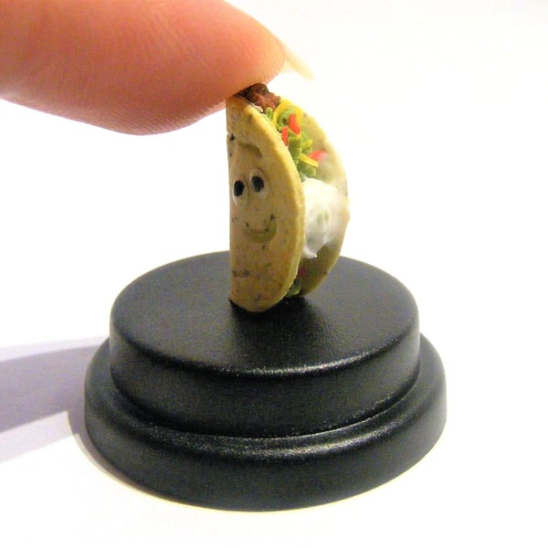 Pet Taco, Pet tortilla, Mexican food lover, Beef taco, Taco lover