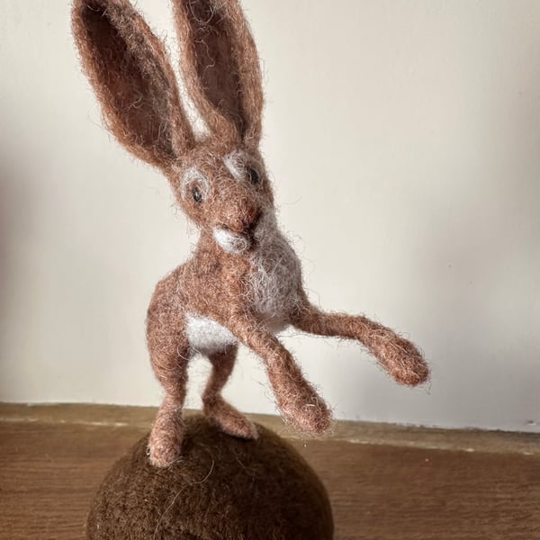 Mini Hare