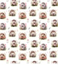 polycotton fabric material 3d digitally printed hedgehogs animals super cute