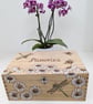 Wooden memory box, keepsake box, pyrography dragonflies, daisies and bees