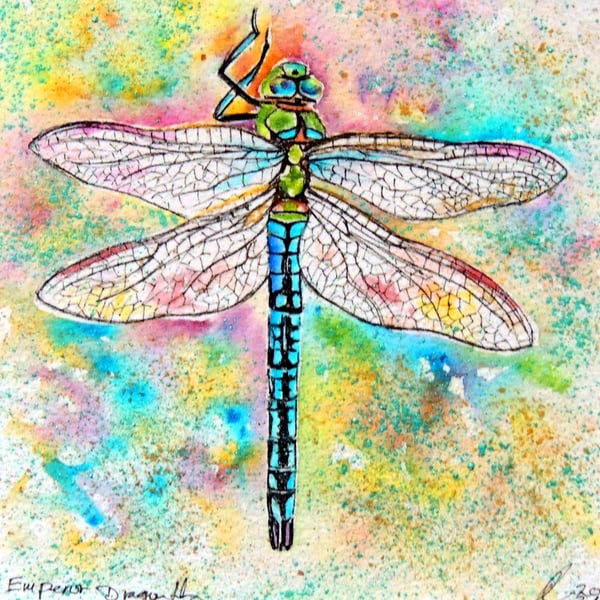Dragonfly  Watercolour Original Painting Wildlife Art