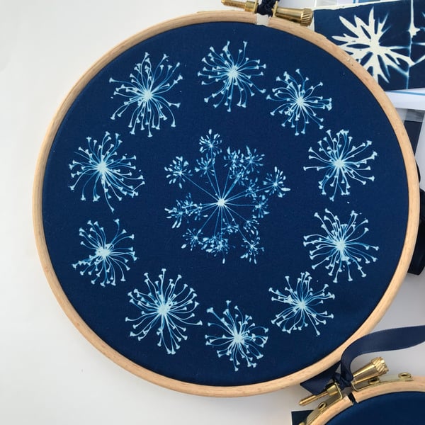  Botanical Art circles Cyanotype in a Hoop.