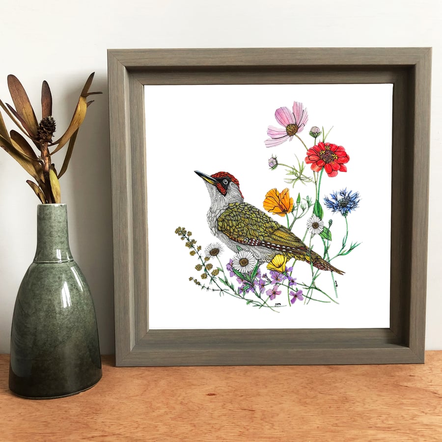 'Green Woodpecker' Framed Print