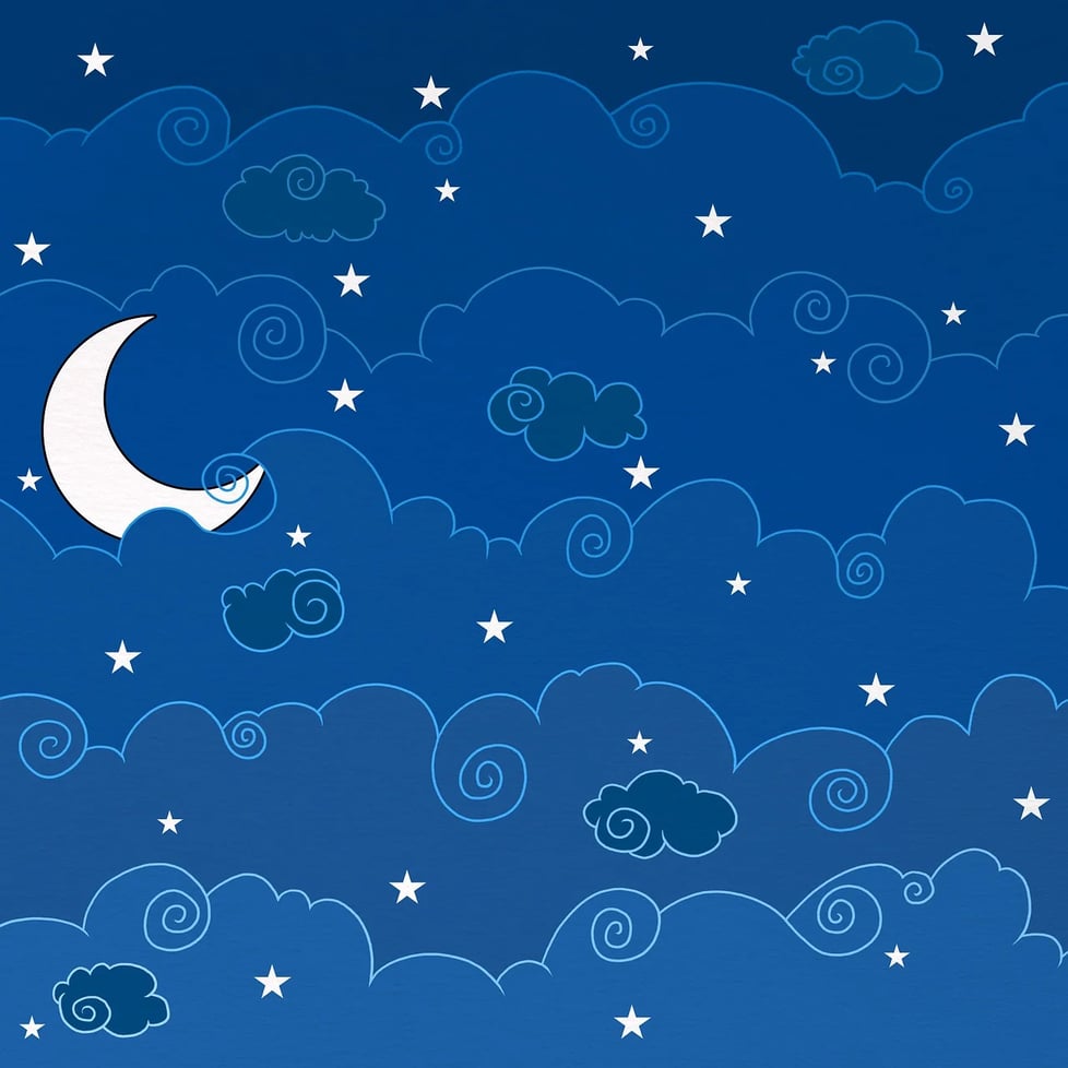 The Cat Moon Art Base