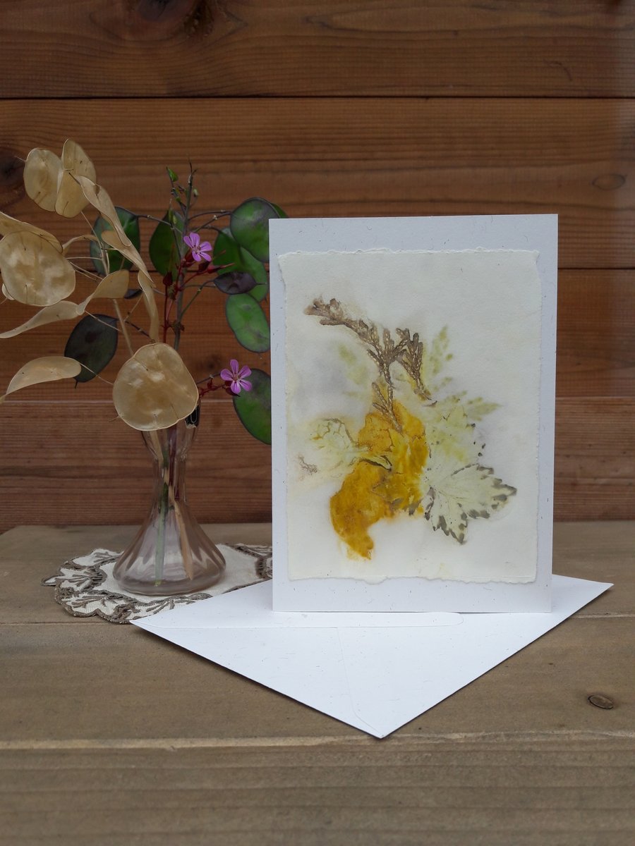 Handmade Conifer, Bugle, Geranium and Onion Eco Print Card
