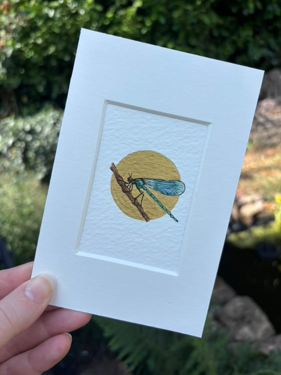 ACEO miniature insect artwork Dragonfly original tiny watercolour painting. 