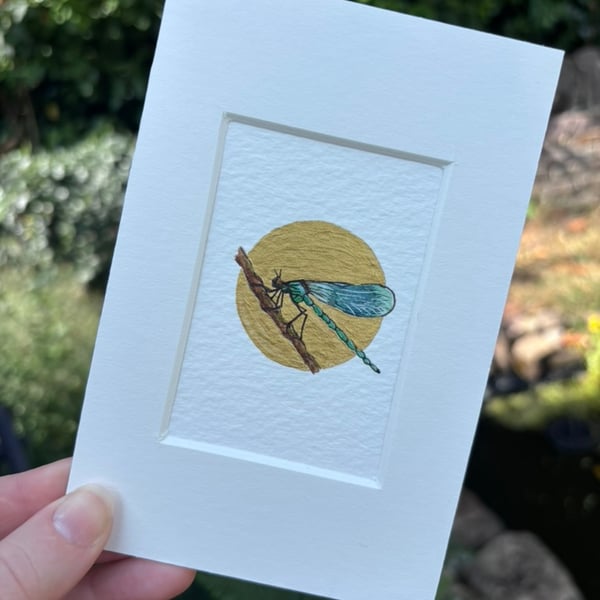 ACEO miniature insect artwork Dragonfly original tiny watercolour painting. 