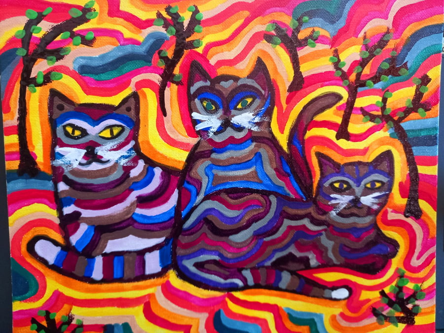 3 Cats in the desert