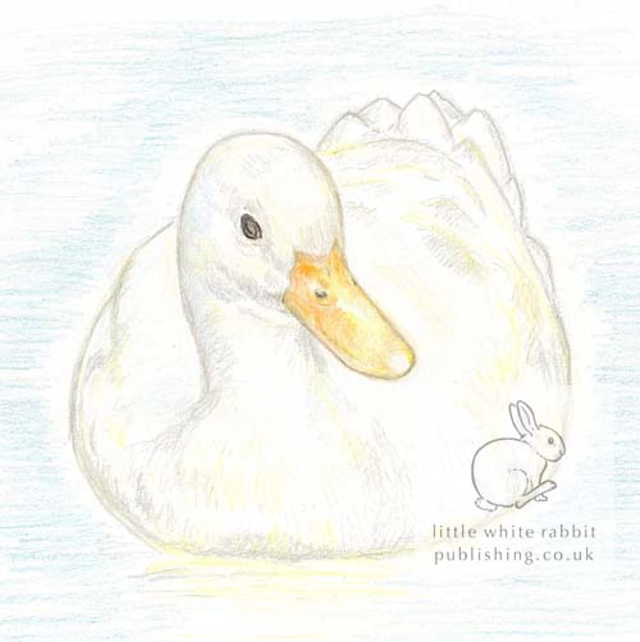White Duck - Blank Card
