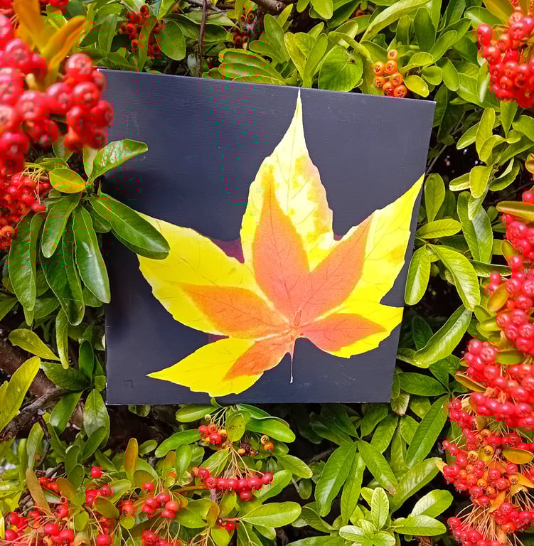 Hello Autumn !  hand finished canvas print 