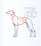 Hettie Whippet Hand Knitted Pink 'Croc' Tank - Image 3