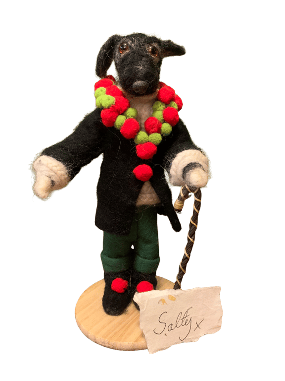 Meet Salty, a sleek little hound with a gentleman’s air