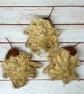 Tiny Autumn Friend With Beech Pod Hat - Image 7