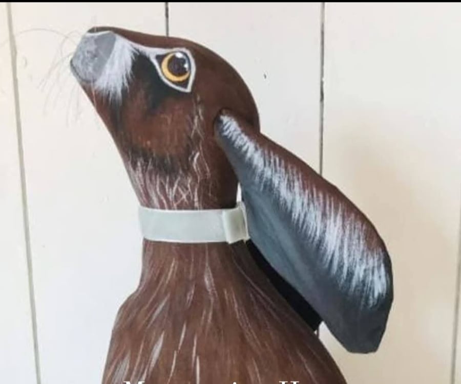 Moongazing Hare Doorstop