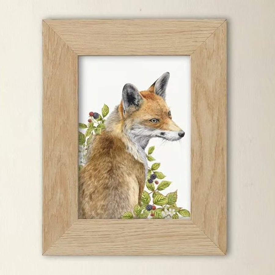 Red Fox Art Print - A5 size - Scottish Wildlife Illustration