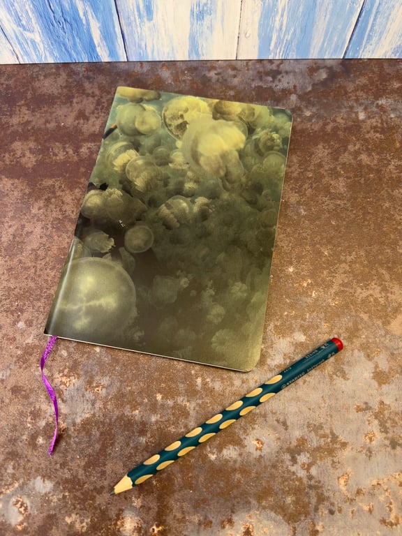 Notebook, Marine themed, A5 (ish), made from up-cycled and recycled materials.