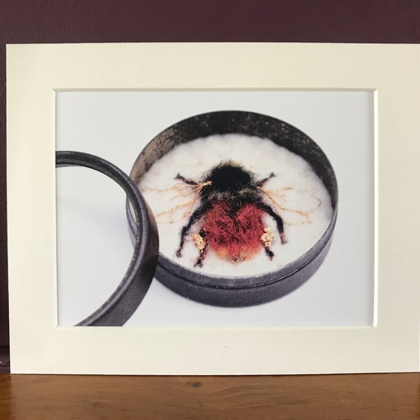 Bee Art - Print of the Bilberry Bumblebee - exhibition quality 
