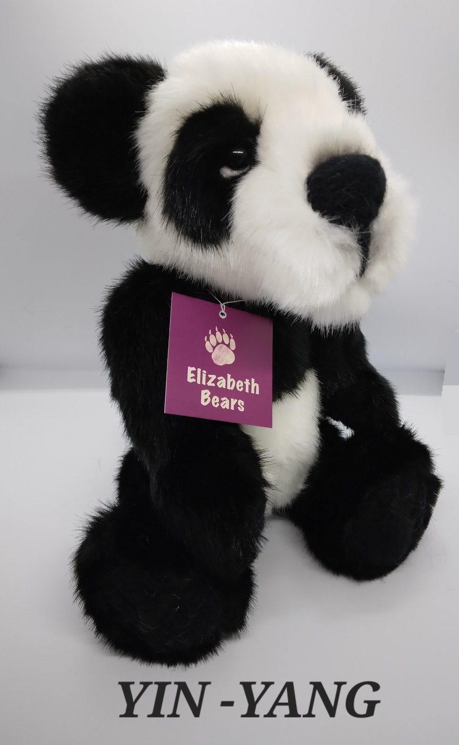 Elizabeth Bears YIN-YANG