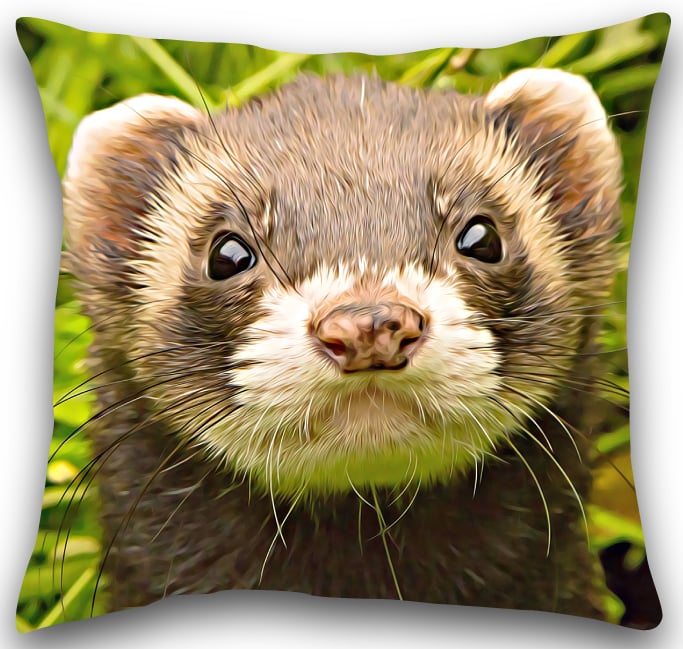 Ferret Cushion Ferret pillow