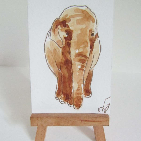 ACEO Art Posing Elephant Original Watercolour & Ink Painting OOAK