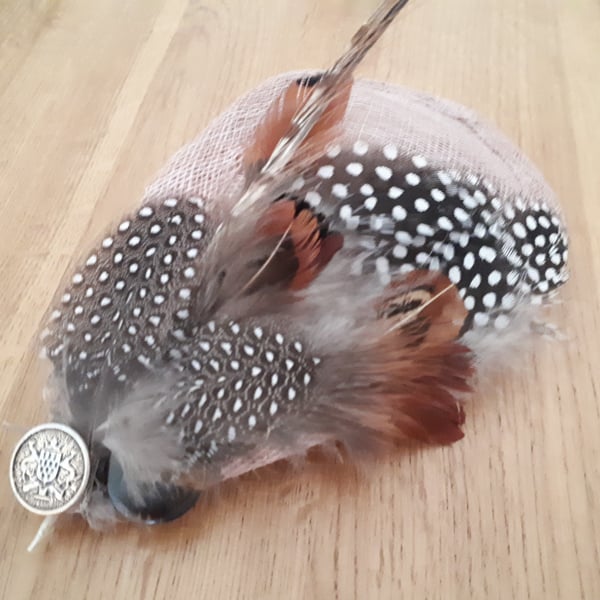 Pheasant and Guinea Fowl Feather Latte Teardrop Fascinator, Races Hat