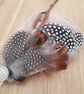 Pheasant and Guinea Fowl Feather Latte Teardrop Fascinator, Races Hat - Image 1