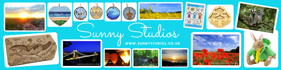 Sunny Studios