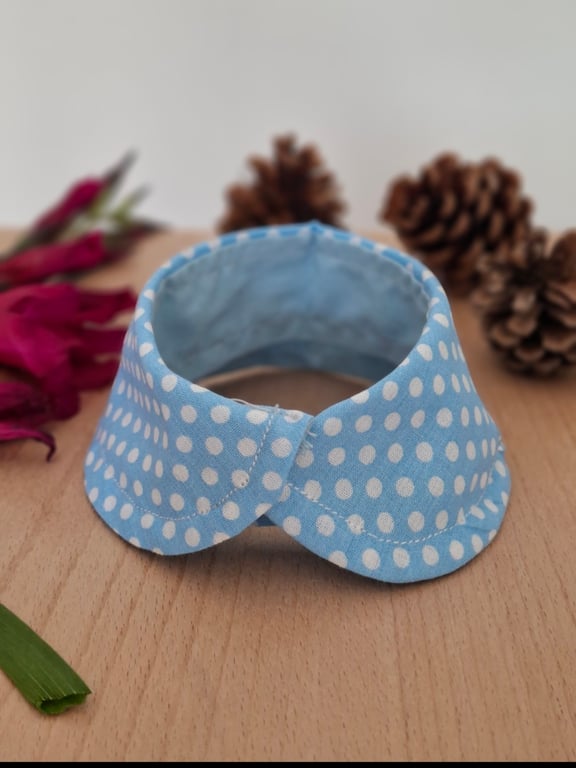 Vintage Charm Pastel Peter Pan collar