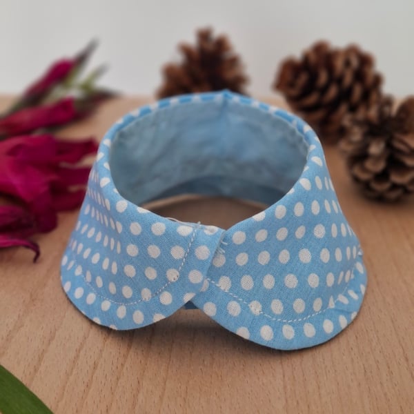 Vintage Charm Pastel Peter Pan collar